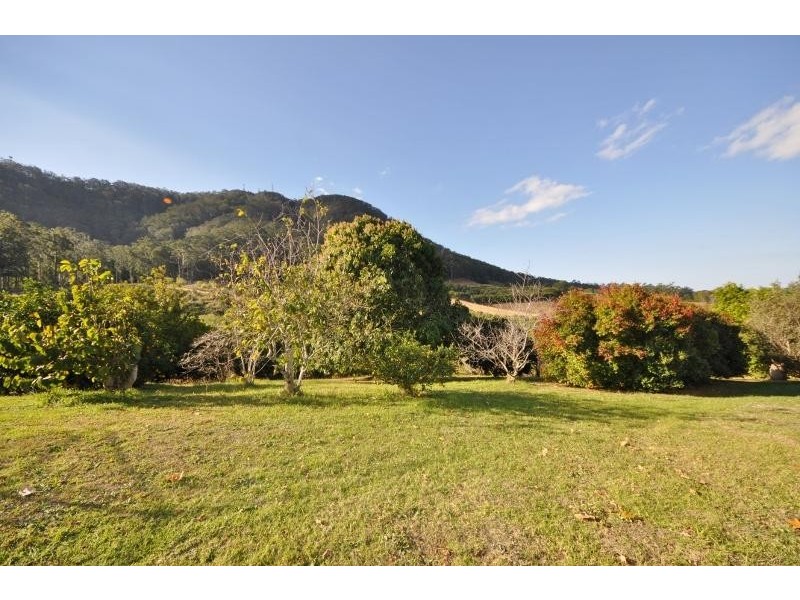 336 Mighell Road, Yarrahapinni NSW 2441