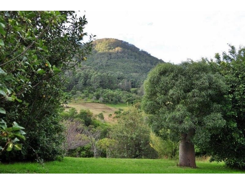 336 Mighell Road, Yarrahapinni NSW 2441