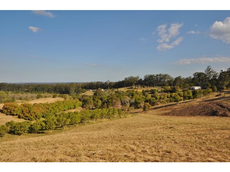 336 Mighell Road, Yarrahapinni NSW 2441