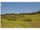336 Mighell Road, Yarrahapinni NSW 2441