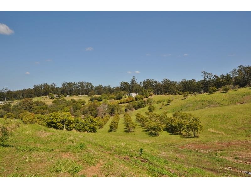 336 Mighell Road, Yarrahapinni NSW 2441