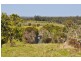 336 Mighell Road, Yarrahapinni NSW 2441