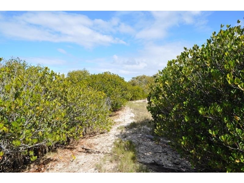 325 Fishermans Reach  Road, Fishermans Reach NSW 2441