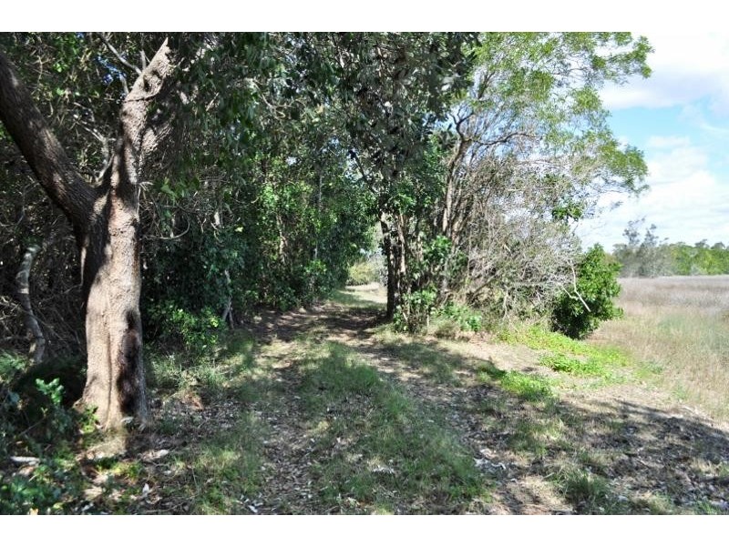 325 Fishermans Reach  Road, Fishermans Reach NSW 2441