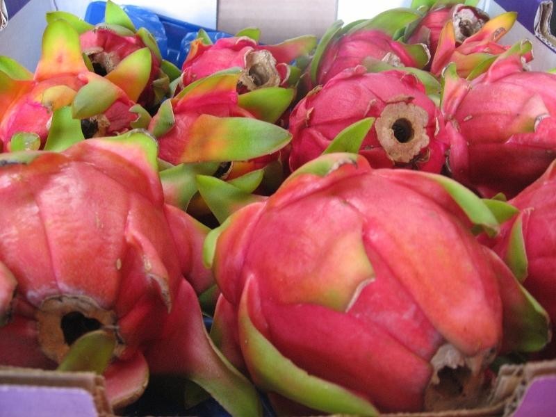 Lot 43 Mighell  Road, Yarrahapinni NSW 2441