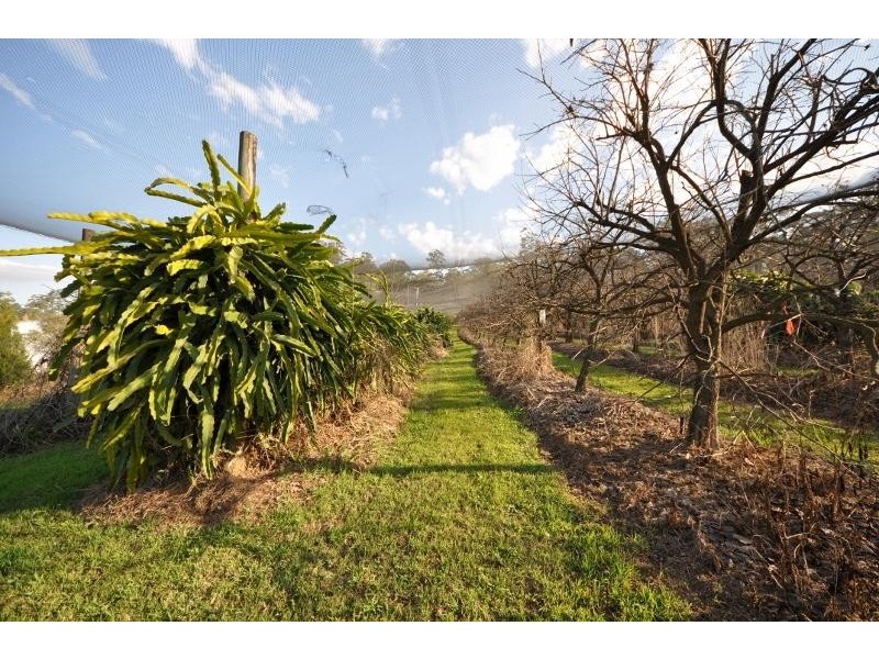 Lot 43 Mighell  Road, Yarrahapinni NSW 2441