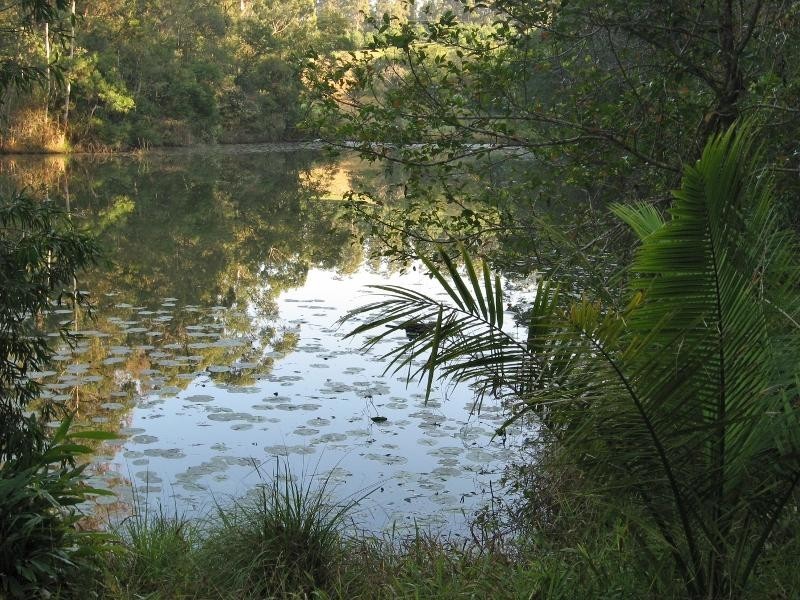 Lot 43 Mighell  Road, Yarrahapinni NSW 2441