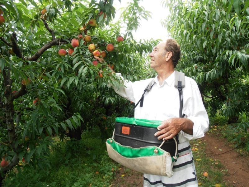 Lot 43 Mighell  Road, Yarrahapinni NSW 2441