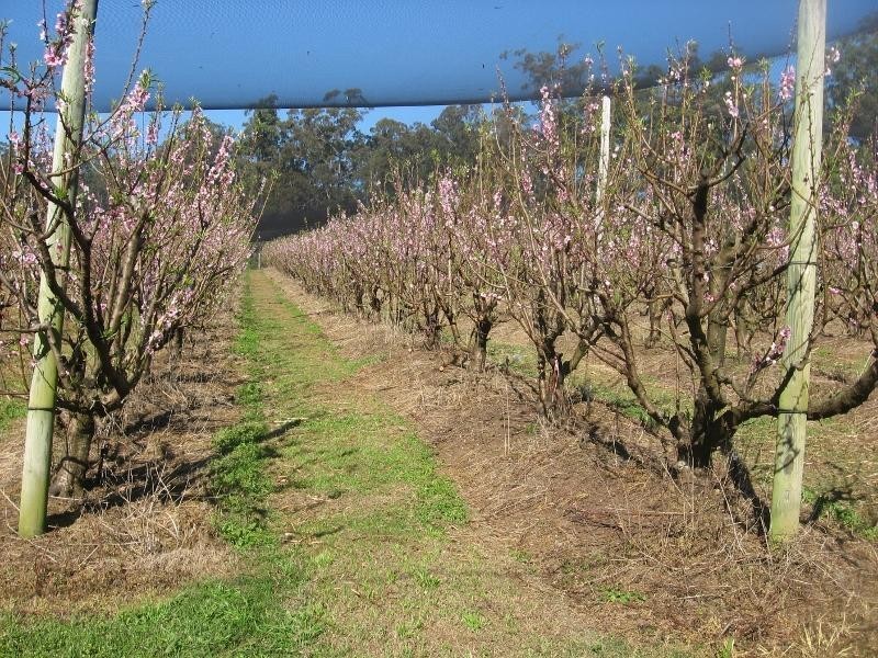 Lot 43 Mighell  Road, Yarrahapinni NSW 2441