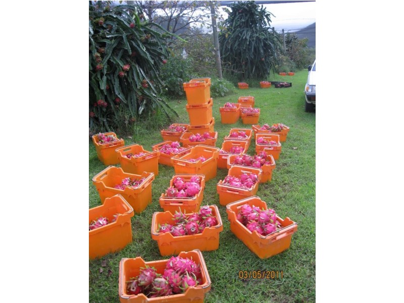 Lot 43 Mighell  Road, Yarrahapinni NSW 2441