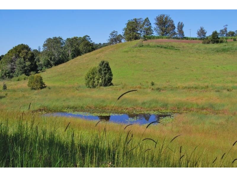 28 Granite Road, Argents Hill NSW 2449