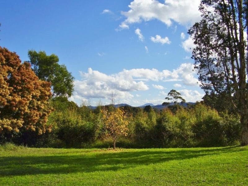 31 Wallbridge Road, Eungai Creek NSW 2441