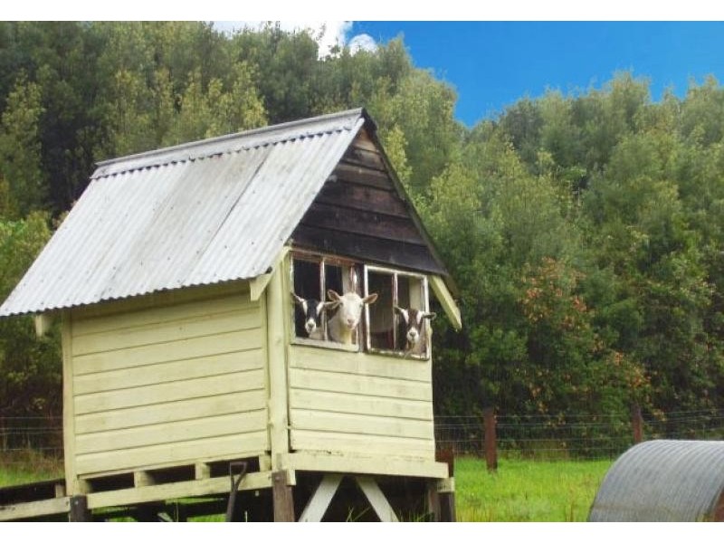 31 Wallbridge Road, Eungai Creek NSW 2441