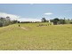 403 Upper Warrell Creek Road, Macksville NSW 2447
