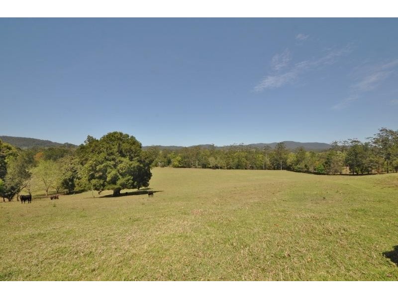 403 Upper Warrell Creek Road, Macksville NSW 2447