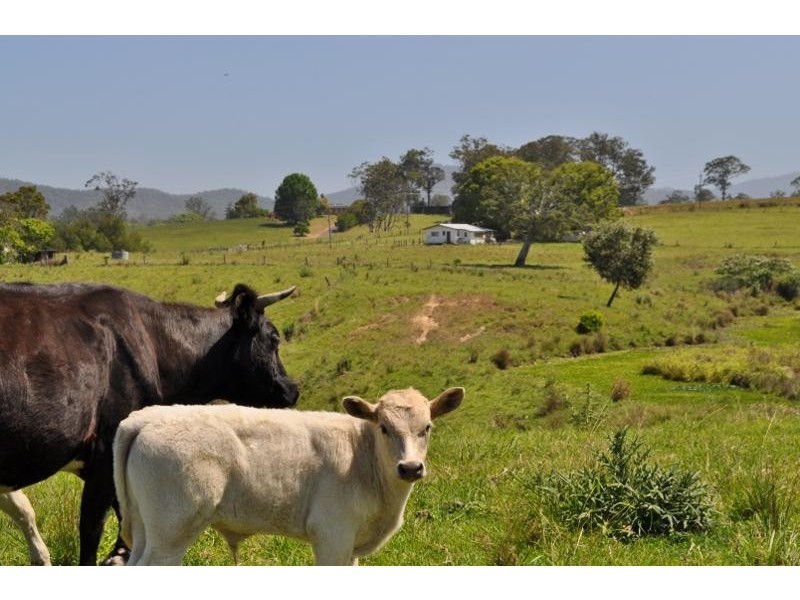 42 North Arm  Road, Bowraville NSW 2449