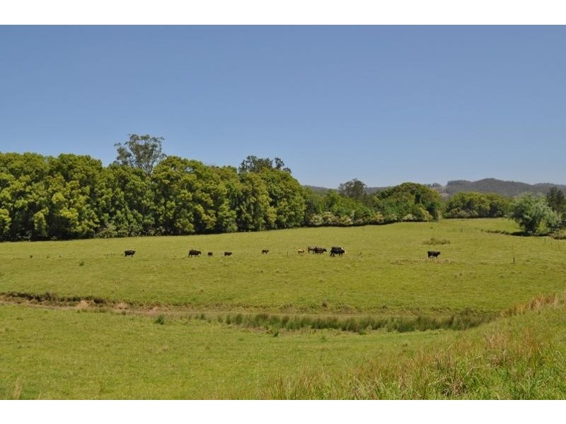 42 North Arm  Road, Bowraville NSW 2449