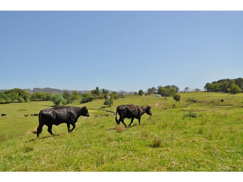 42 North Arm  Road, Bowraville NSW 2449