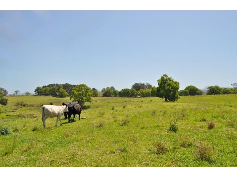 42 North Arm  Road, Bowraville NSW 2449