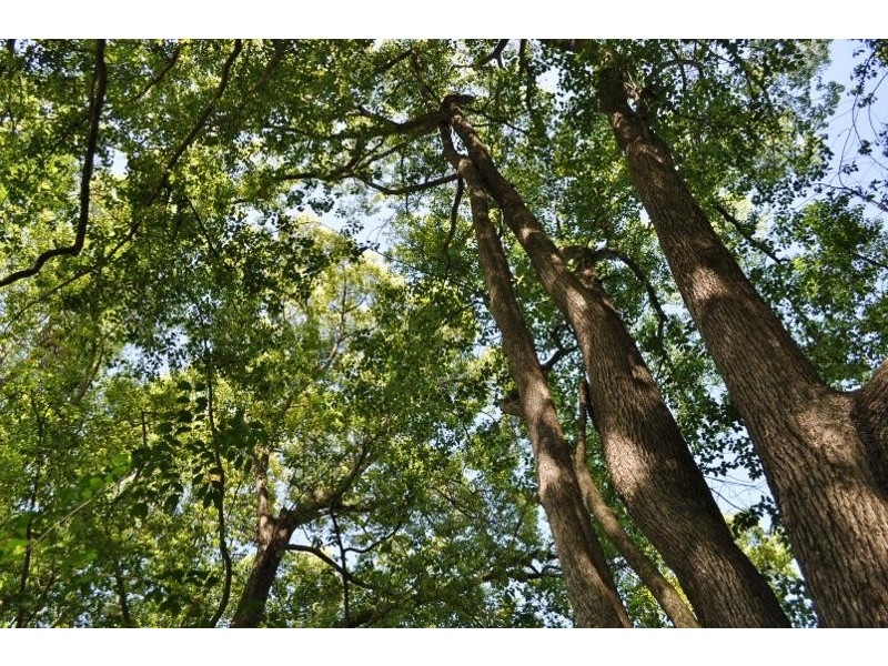 42 North Arm  Road, Bowraville NSW 2449