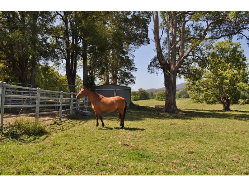 42 North Arm  Road, Bowraville NSW 2449