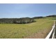 Warrell Creek NSW 2447