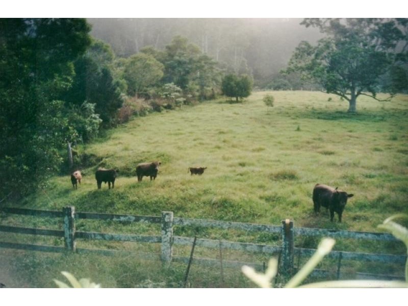 4636 Taylors Arm Road, Thumb Creek NSW 2447