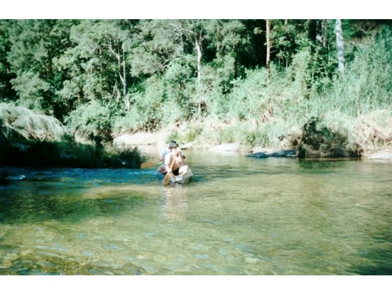 4636 Taylors Arm Road, Thumb Creek NSW 2447