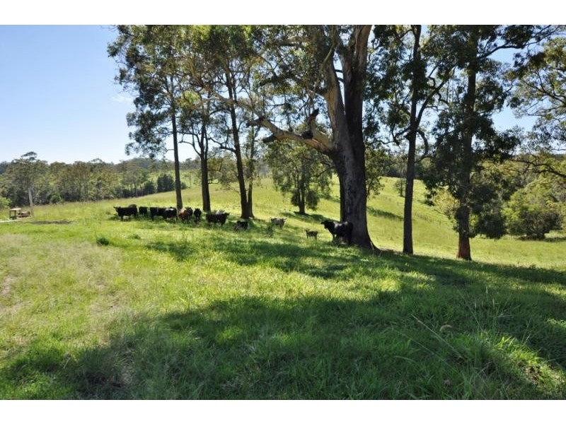 42 Ironbark Road, Wirrimbi NSW 2447