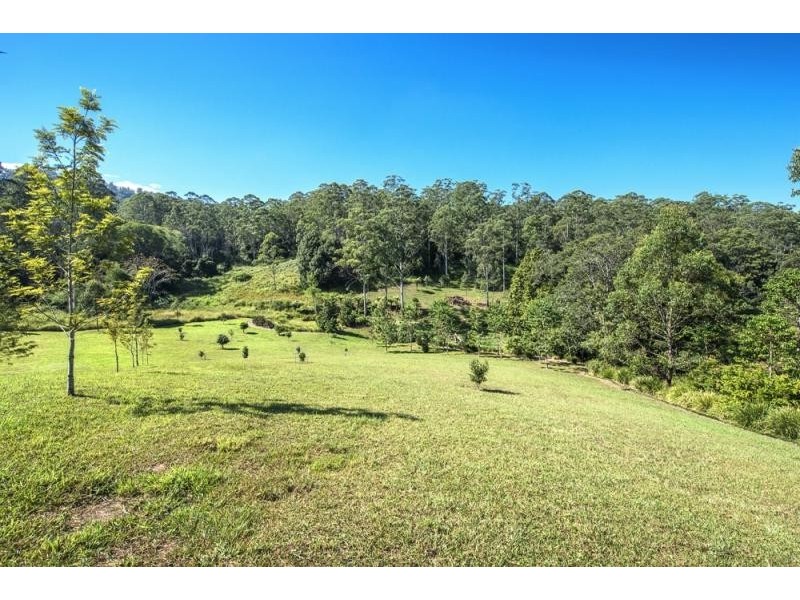 697 Bellingen  Road, Missabotti NSW 2449