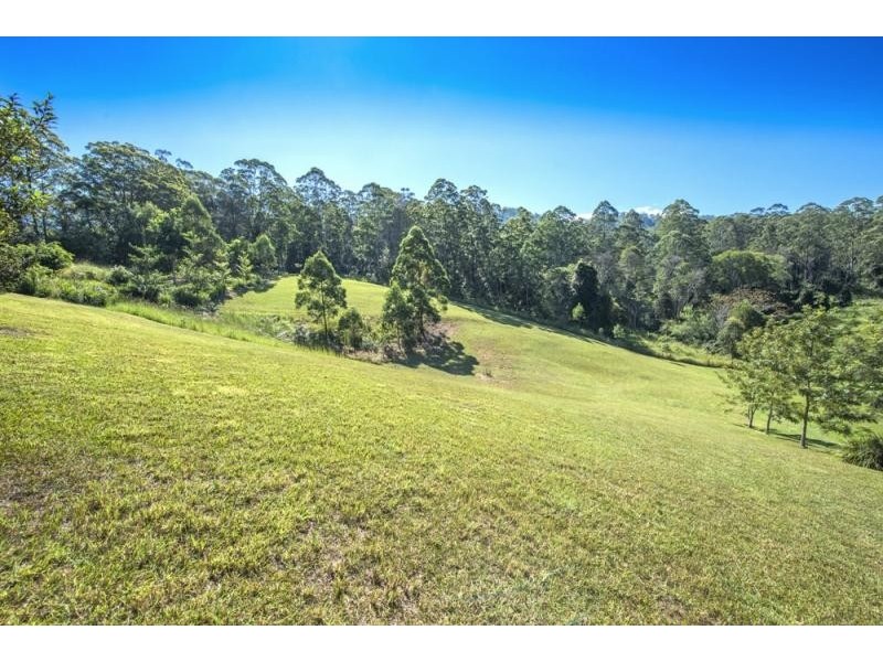 697 Bellingen  Road, Missabotti NSW 2449
