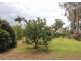 28 Third Avenue, Stuarts Point NSW 2441