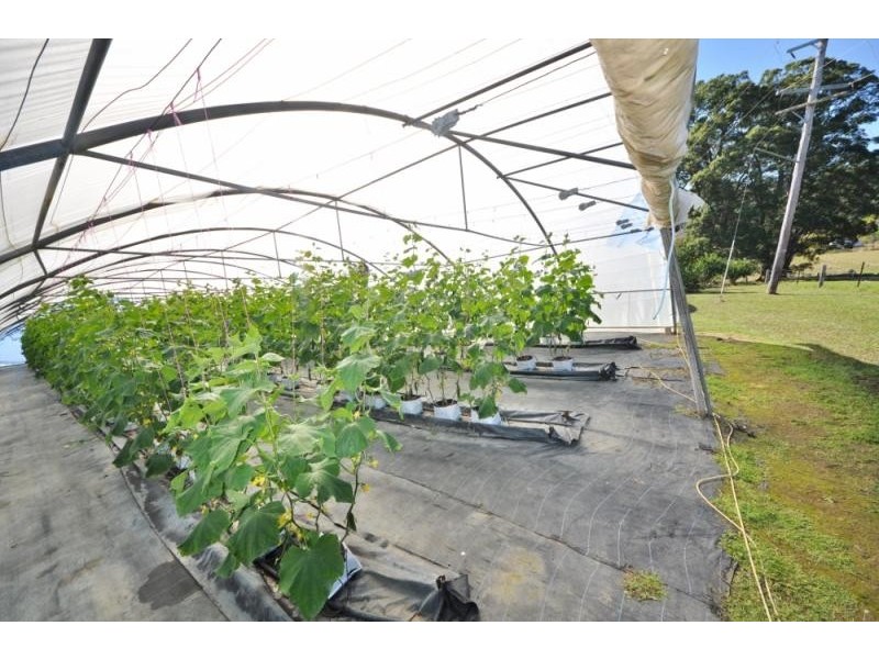 198 Tewinga Lane, Tewinga NSW 2449