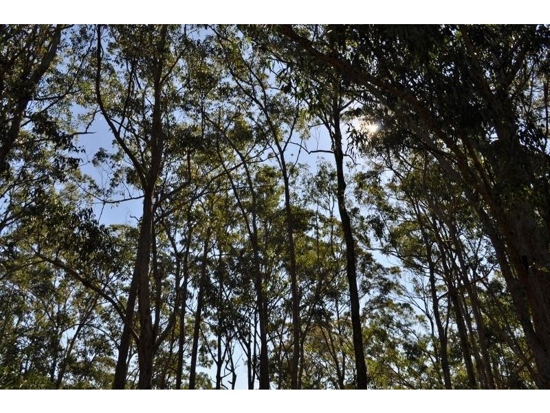 1142 Searles  Road, Tamban NSW 2441