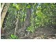 2938 North Arm Road, Girralong NSW 2449