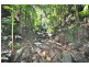 2938 North Arm Road, Girralong NSW 2449