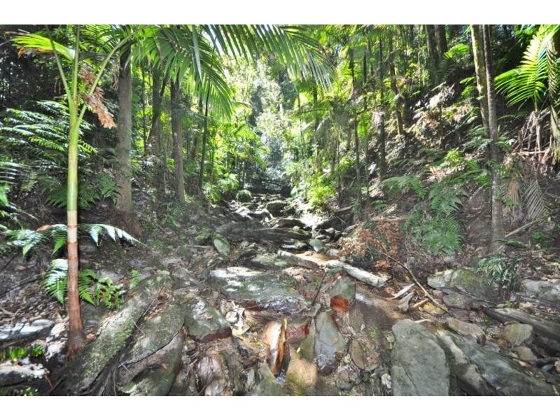 2938 North Arm Road, Girralong NSW 2449