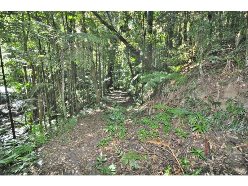 2938 North Arm Road, Girralong NSW 2449