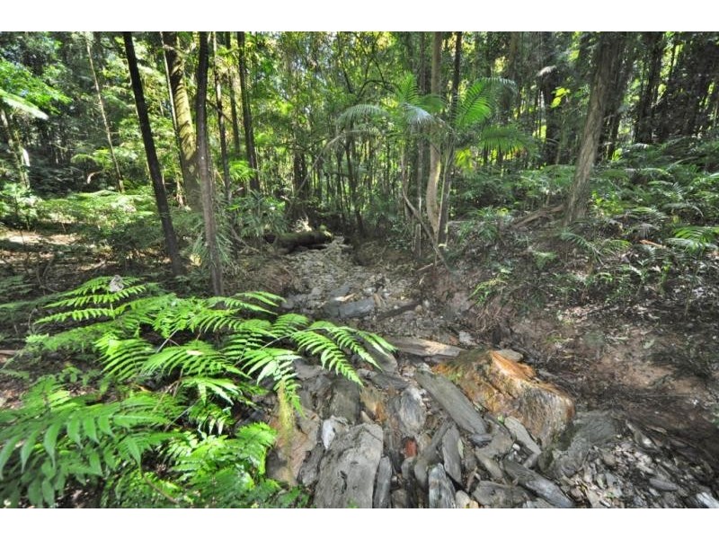 2938 North Arm Road, Girralong NSW 2449