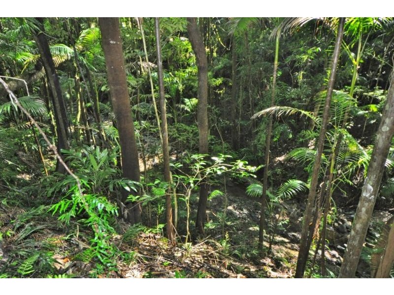 2938 North Arm Road, Girralong NSW 2449