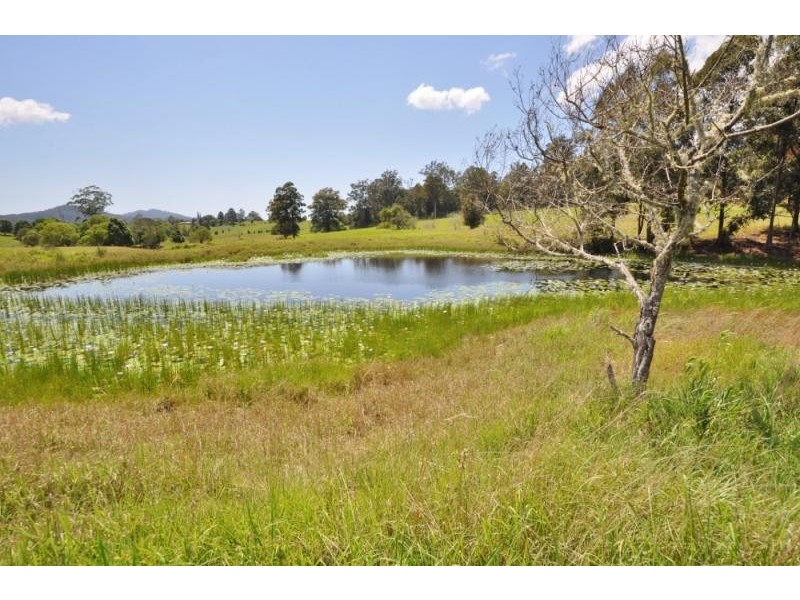 84A Attards  Road, Congarinni North NSW 2447