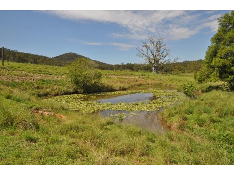 320 Wards Road, Utungun NSW 2447