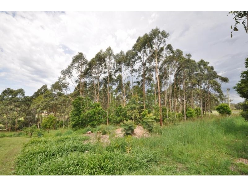 66 Newee Creek Road, Newee Creek NSW 2447