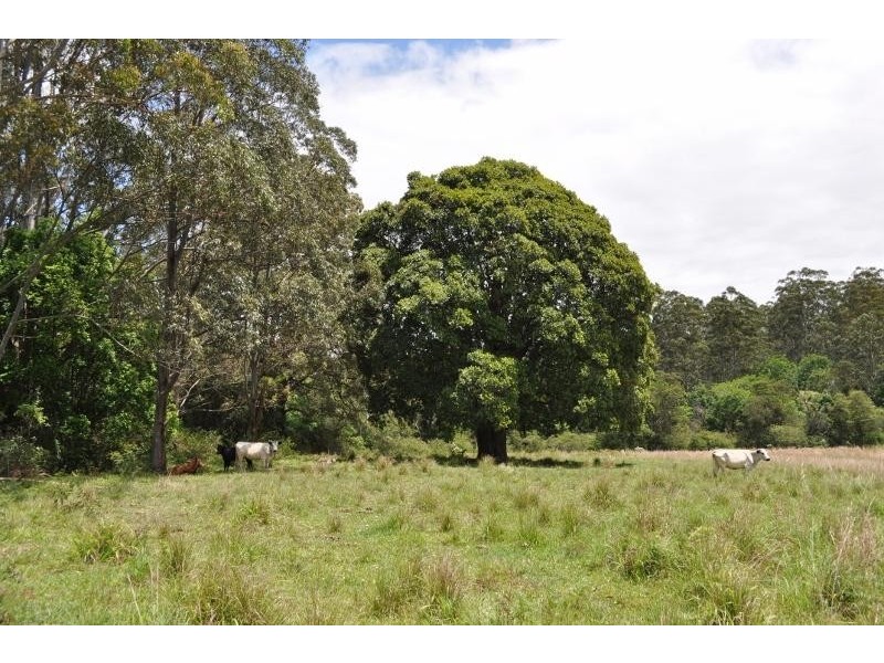 64 Dures Lane, Tamban NSW 2441