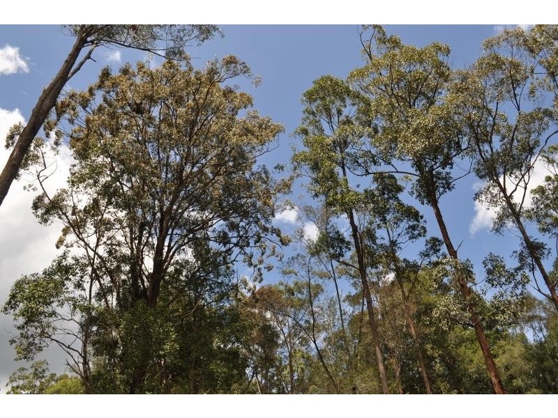 64 Dures Lane, Tamban NSW 2441