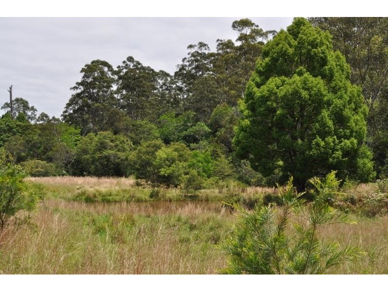 64 Dures Lane, Tamban NSW 2441