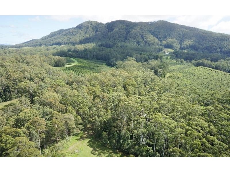 120 Browns Road, Yarrahapinni NSW 2441