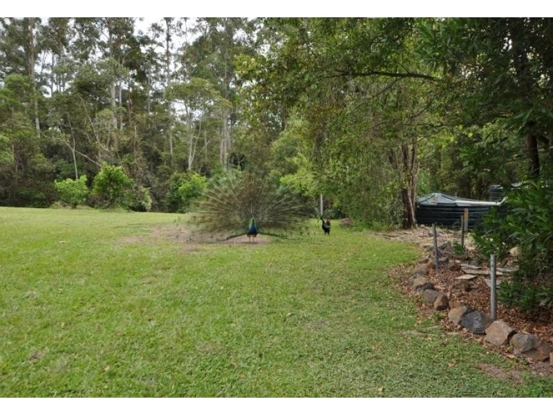 120 Browns Road, Yarrahapinni NSW 2441