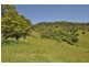 121 Higginbotham Road, Upper Taylors Arm NSW 2447