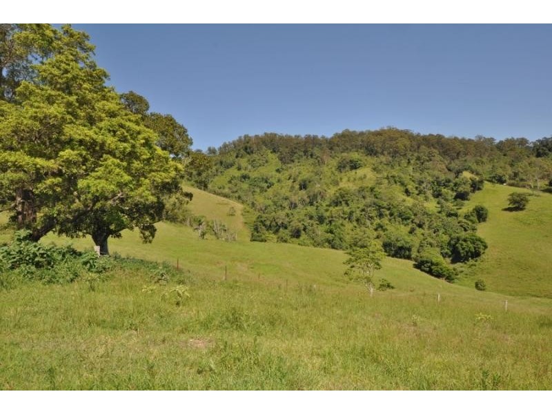 121 Higginbotham Road, Upper Taylors Arm NSW 2447